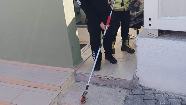 Yayladağı'nda yerleşim alanında görülen yılan doğaya salındı