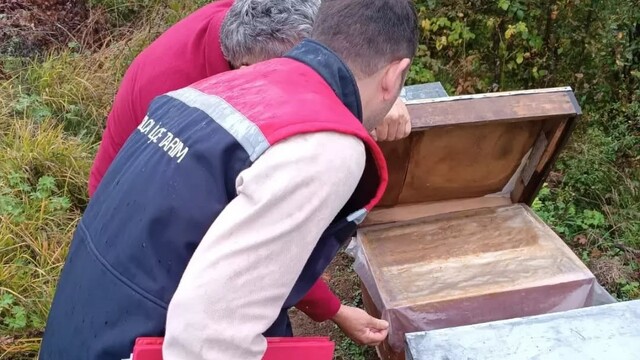 Yığılca'da veterinerler arılı kovan sayımı yapıyor