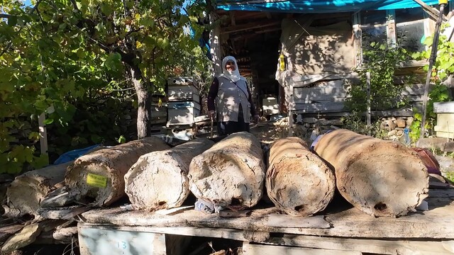 Yozgat'ta 85 yaşındaki kadın karakovan balı üretiyor