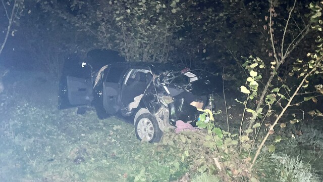 Zonguldak'ta otomobil fındık bahçesine devrildi: 4 yaralı