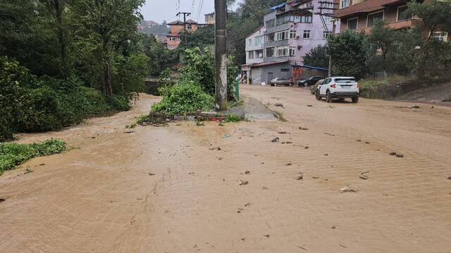 Zonguldak'ta şiddetli yağmur heyelanlara neden oldu