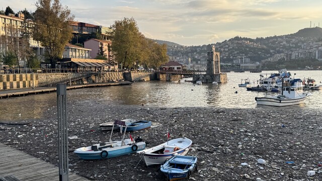 Zonguldak'ta yağış sonrası limanda biriken atıklar