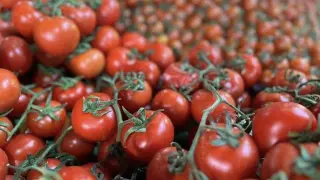Ekim ayında marketlerdeki en yüksek fiyat artışı domateste