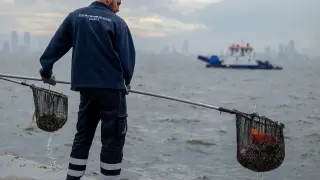 İzmir Körfezi'nde yıllık 1500 ton atık temizleniyor