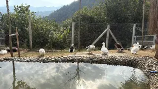 Rize'de Hobi Hayvanat Bahçesi açıldı