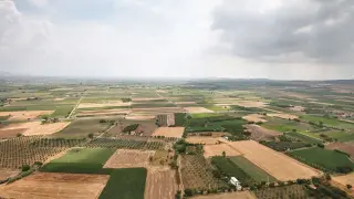 TARIM SİGORTALARINA 10 AYDA 478 BİN HASAR İHBARI YAPILDI