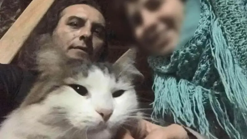 İstanbul'da kedilerine bakmayan komşu ölü bulundu
